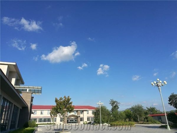 SHANDONG GAOLONGSHENG TRADING CO.,LTD