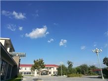 SHANDONG GAOLONGSHENG TRADING CO.,LTD