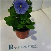 Natural Stone from Spain