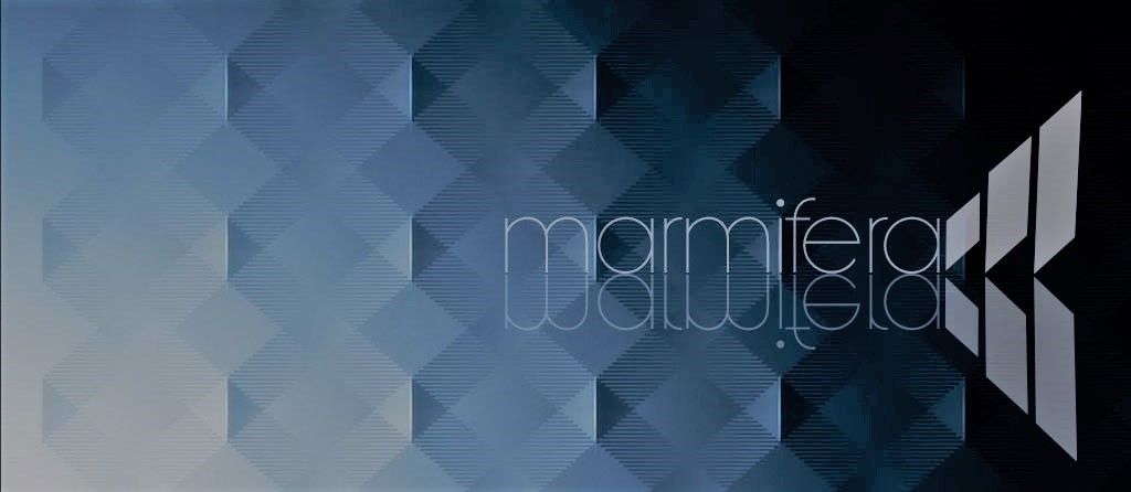 MARMIFERA STONE S.A DE C.V. MARMIFERA STONE S.A DE C.V.