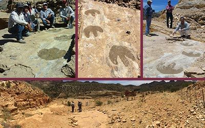 Piedra Laja Sonora