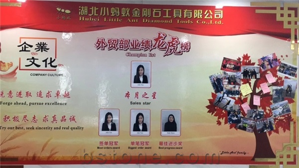  Hubei Little Ant Diamond Tools Co., Ltd