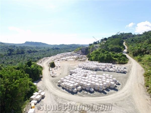 ANYO HONGKONG CO., LTD
