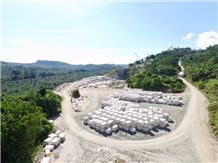 ANYO HONGKONG CO., LTD