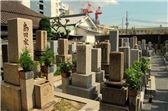 Miyagi Grave Consultation