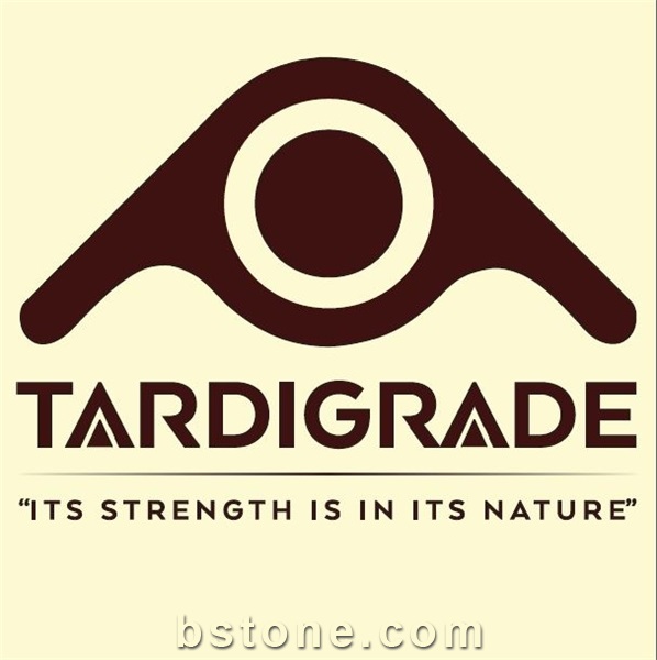 TARDIGRADE YAPI KIMYASALLARI SANAYI AS