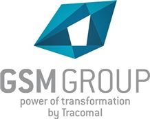 GSM Group