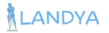Landya stone carving products co.,ltd