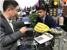 XIAMEN STONE FAIR 2019
