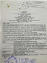 Company Statute
