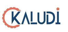 Kaludi