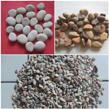 Multi Alam