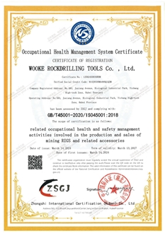 OCCUPATIONAL HEALTH MANAGEMENT SYSTEM CERTIFICATE