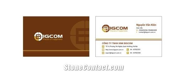 Viet Nam Bigcom Company