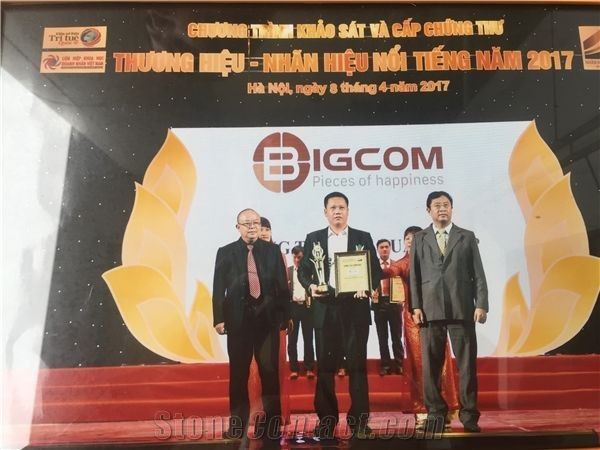 Viet Nam Bigcom Company