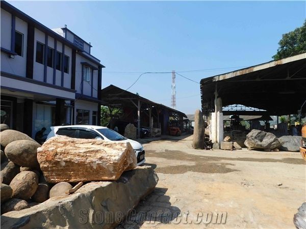 PT. SHS | Petrified Wood Indonesia