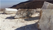 Tejarat Khaneh Kian Ltd