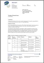 EN TEST REPORT