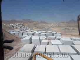 PALIZ Pietra Gray Marble