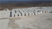 Services & Trade Marble LLC (FZC)