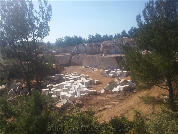 Astore Marble Co.