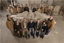 Traditional Cut Stone Ltd