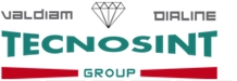 Tecnosint Group - Dialine S.r.l.
