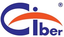 Ciber srl Ciber srl