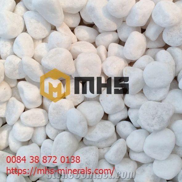 VietNam MHS Import - Export Company Limited