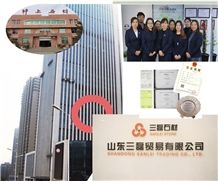  Shandong Sanlei Trading Co., Ltd.