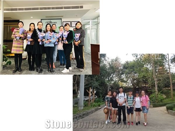  Shandong Sanlei Trading Co., Ltd.