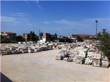 Frali LTD
