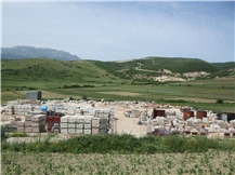 Frali LTD