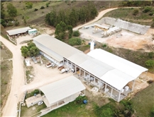 IBMG Mineradora