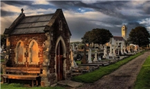 Hoskins Stonemasons