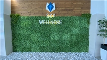 SkyWellness