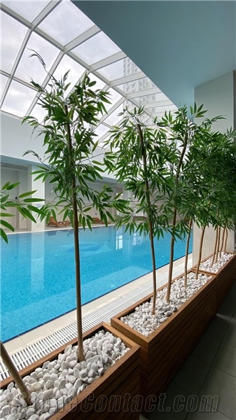SkyWellness