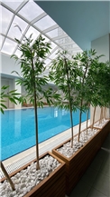SkyWellness