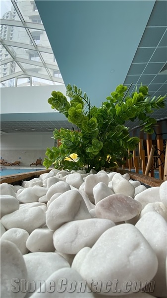 SkyWellness
