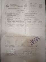 Liner Hand Over Copy