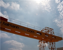 Halmann Vella Ltd.
