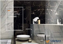 Vishwas Export