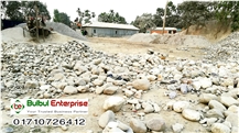Bulbul Enterprice