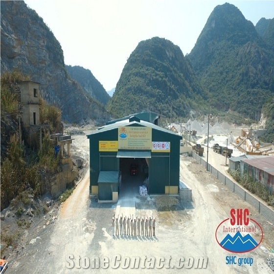 Viet Nam Technology Mineral Joint Stock Company