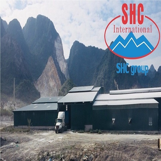 Viet Nam Technology Mineral Joint Stock Company