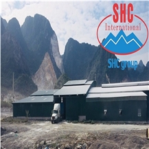 Viet Nam Technology Mineral Joint Stock Company
