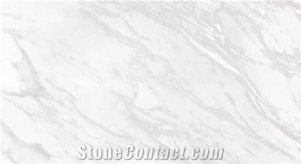 Violet Marble Trading L.L.C