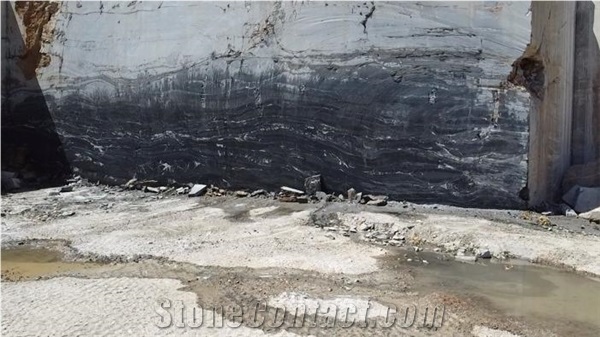 Labrador Marble