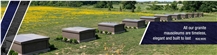 Nelson Granite