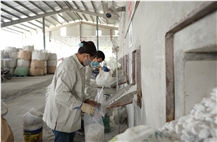 Vietnam Technology Minerals JSC